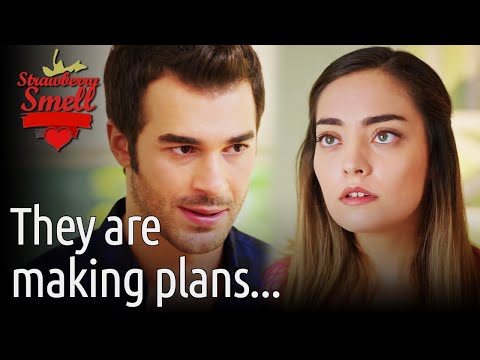 They Are Making Plans... - Strawberry Smell (English Subtitles) | Cilek Kokusu