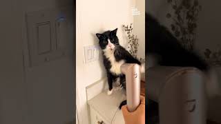 Miniature vidéo