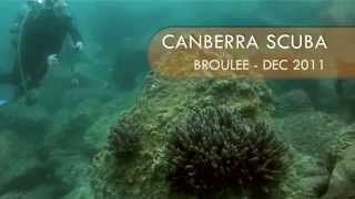 preview picture of video 'Canberra Scuba - Broulee, NSW - December 2011'