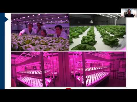 #9 - Environmental Uniformity and Climate Control in Plant Factory