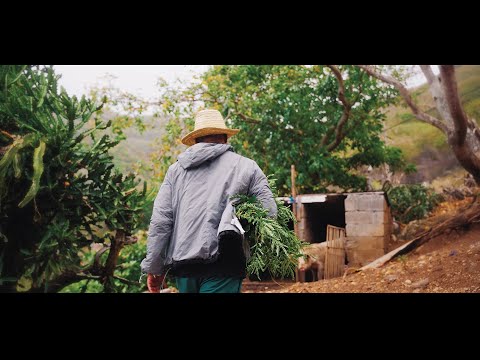 SAKOUYE PRODIKSION and 3 more