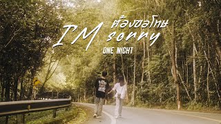 ต้องขอโทษ ONE NIGHT