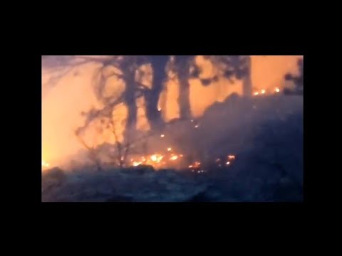 Coopex, nito-onna & dj frog - whispered promises [NCS  KING Release]