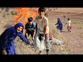 Watch Us Clear Years Of Dry Brush To Transform Our Mountain Homestead