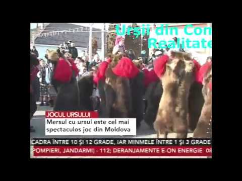 Urșii din Leorda la Realitatea TV