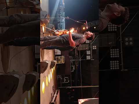 Festival de la Vendimia - Animana Salta