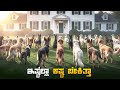 Return Of The Dog Movie Explained In Kannada Feel Good Movie Netflix Thriller Sci Fi Movies