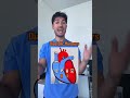 Learn The Heartsounds Heart Murmurs In 60s Shorts Medstudent Medschool Cardiology Med