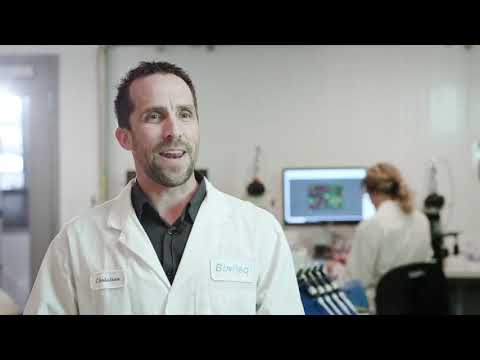 Fall Invitational Holstein Show 2020 - Junior Champion