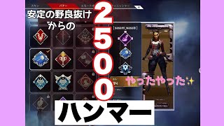 【Apex legends】初動で野良抜けでもローバで2500ハンマー