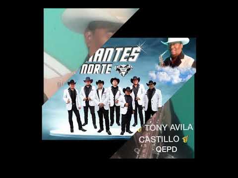 Se fue mi paloma "Diamantes del Norte"