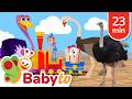 Meet The Ostrich Fastest Bird On Land Animal Facts For Toddlers BabyTV