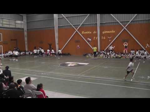 Revista de Gimnasia 5° Básico B