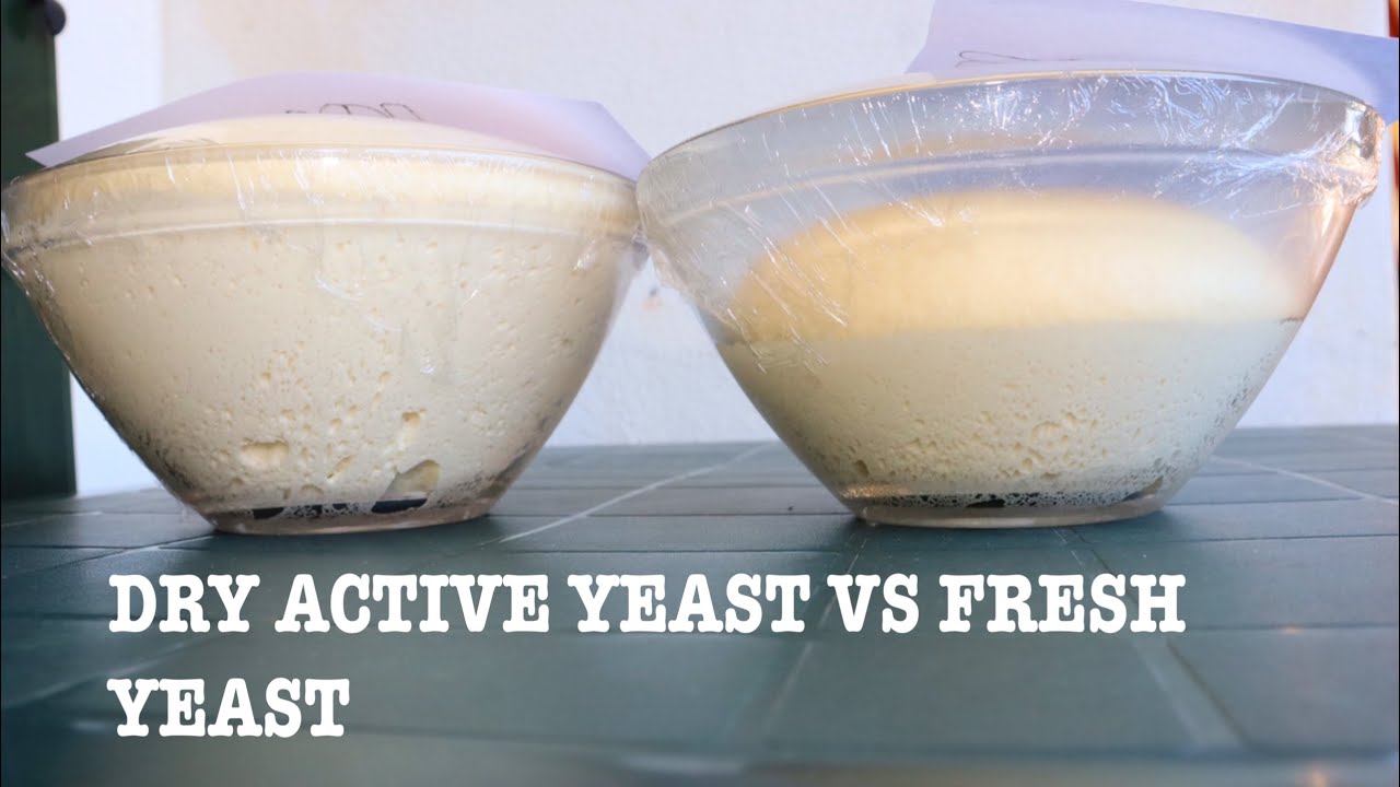 5G -1TSP DRY ACTIVE YEAST AND 5G -1TSP FRESH YEAST - IT WILL GIVE YOU THE SAME RESULTS