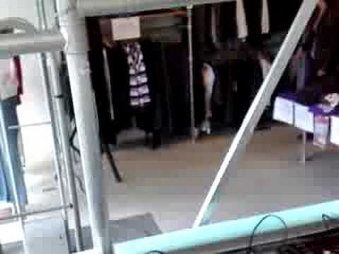 Ozzy HouseBourne plays "Muzzaik - Black Power"