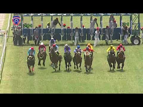 RM28 R1 | Captain Falcon | D.Sooful