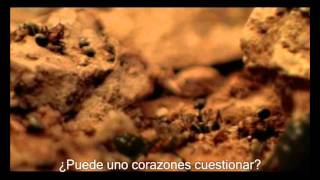 Download lagu Rammstein - Links 2 3 4 [ music video] (Sub esp) mp3