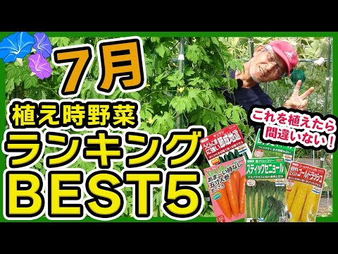 légumes-feuilles-sains-délicieux-cultiver-jardin-potager-automne