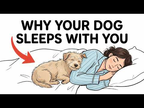 If Your Dog Sleeps With You, They're Trying to Tell You This!