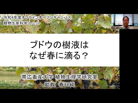 植物生産科学ユニット ミニ講義「ブドウの樹液はなぜ春に滴る？」 春日 純 助教