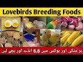 Birds Breeding Foods Mixsead For Lovebirds Lovebirds Winter Softfoods Fisher Lutino Albino