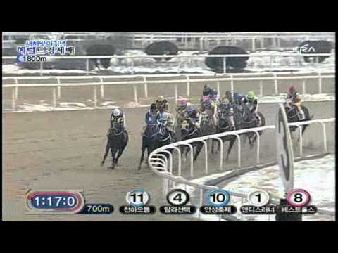 2011 Herald Business Cup (New Year Commemoration) - Andy's Runner