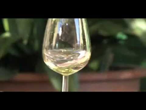 Pinot Grigio - Bossi Fedrigotti - English