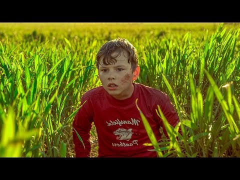 After 23 years, an American boy believed to be dead suddenly woke up in a field in China