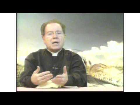 O Pão Nosso 22 Fevereiro 2015  -   Pe. F. C. Cardoso