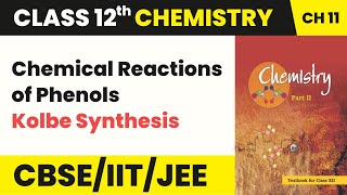 Chemical Reactions of Phenols (Kolbe Synthesis) | Class 12 Organic Chemistry Chapter 11 | Unit 7