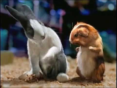 Blockbuster - Mouse Click (2002/7, USA)