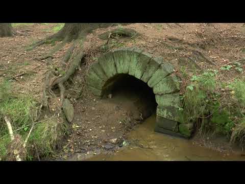 Bergbau in Brand-Erbisdorf