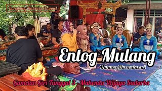 Download lagu Live Sukabumi || Entog Mulang (Nunung Nurmalasari) mp3