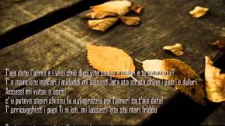 Carmen Consoli   carezza d'autunno