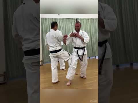 【体捌き・肚・崩し】Amazing Move！Aunkai Naido Bujutsu【内動武術 阿吽会】#shorts