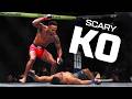 BRUTAL KNOCKOUTS That Live In Our Head RENT FREE