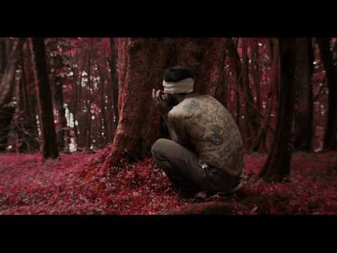 Magpie Jay - Red Carnation