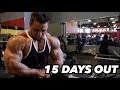 BODYBUILDING MOTIVATION ARM WORKOUT | SHAWN RHODEN & REGAN GRIMES 15 DAYS OUT