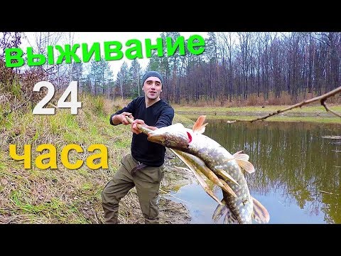 ВЫЖИВАНИЕ 24 ЧАСА,ЛОВЛЯ РЫБЫ НА ОСТРОГУ,ДЕЛАЮ ШАЛАШ,НОЧЬ В ЛЕСУ