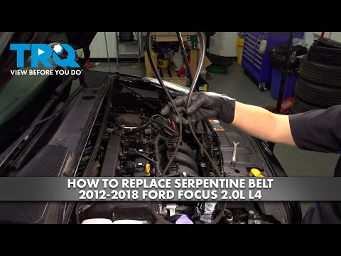 How to Replace Serpentine Belt 2012-2018 Ford Focus 2.0L L4