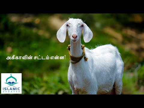 அகீகாவின் சட்டம் என்ன? Short Clip | Sheikh Azhar Seelani | Khobar | Aqeeqa | Islamic Updates | Tamil