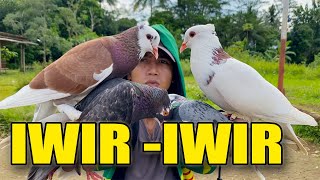 Download lagu PLONTANG JAMBUL VS POLTANG JEMBRONG mp3 Download lagu PLONTANG JAMBUL VS POLTANG JEMBRONG mp3