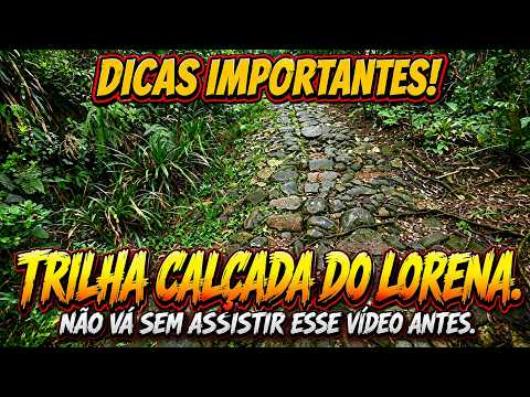 ⚠️ NÃO FAÇA A CALÇADA DO LORENA ANTES DE VER ESTE VÍDEO! | DICAS IMPORTANTES