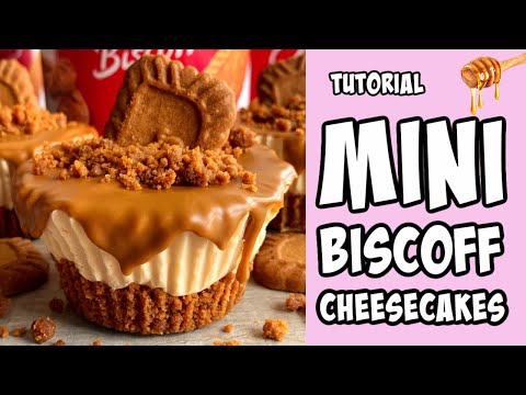 Mini Biscoff Cheesecakes Recipe tutorial