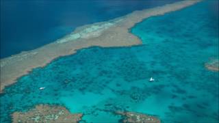 JFARR - Sails (Feat. Amiree)