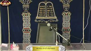 בית המדרש "תורת דוד" ¤ שידור חי ¤ ט' שבט תשפ"ו (27.1.2026) (מוסדות תורת דוד) - התמונה מוצגת ישירות מתוך אתר האינטרנט יוטיוב. זכויות היוצרים בתמונה שייכות ליוצרה. קישור קרדיט למקור התוכן נמצא בתוך דף הסרטון