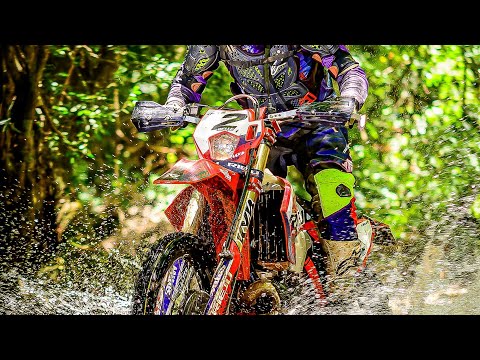 Trilha Jacu na Lama - Ampére PR 24/01/26