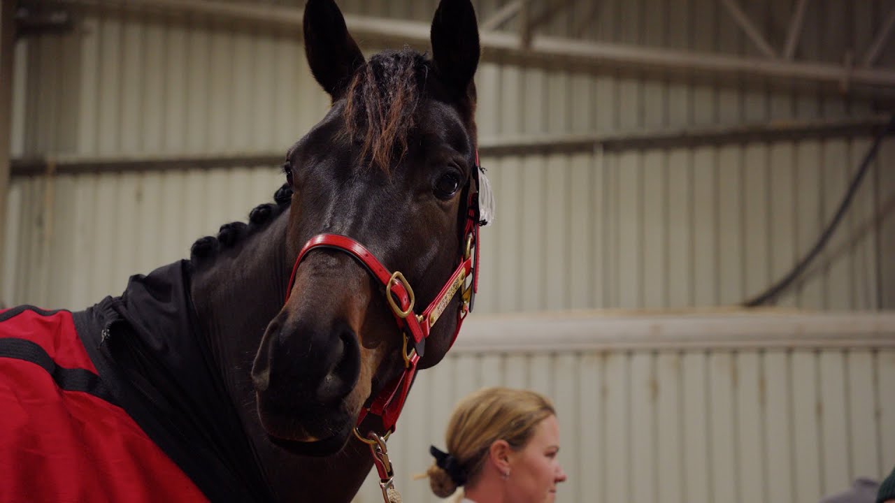 Life Beyond The Track: Episode 3