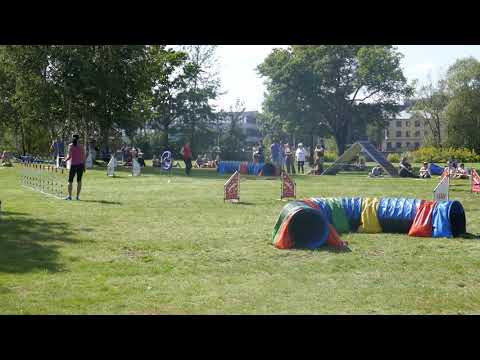 Griks J3 #3 | Riga Cup 2019 | 17.08.2019