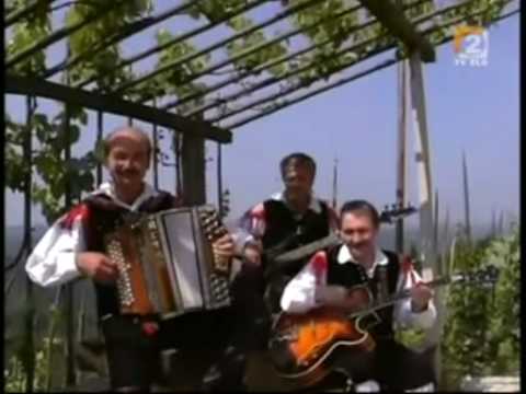 Ansambel Nika Zajca - Vinska Gorica